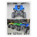 2014 Neu 125cc ATV (kawasaki design) (et-ATV048)